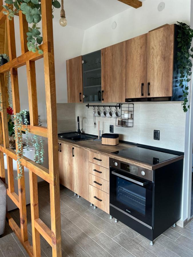 Vila Grujic Vrdnik Ngoại thất bức ảnh