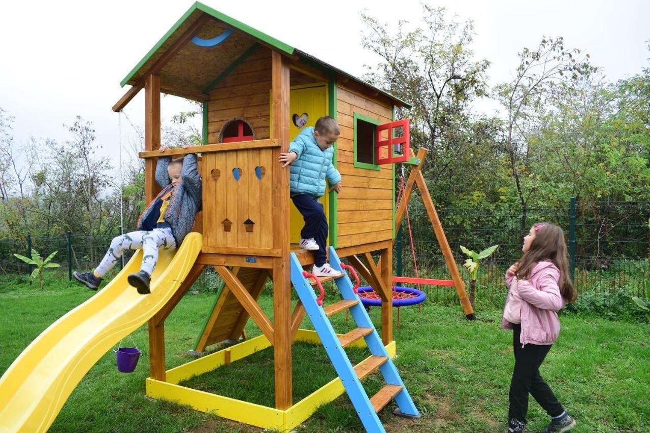 Vila Grujic Vrdnik Ngoại thất bức ảnh