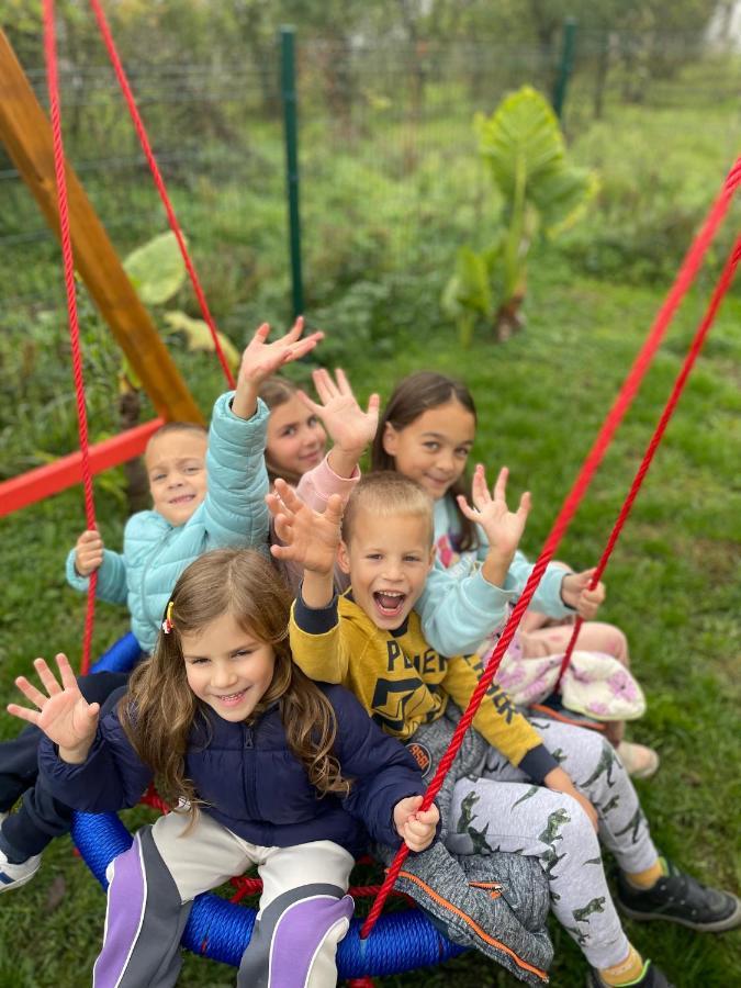 Vila Grujic Vrdnik Ngoại thất bức ảnh